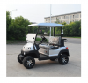 EEC Approved ZYCAR 2 Seat Electric Golf Cart Buggy Custom Golf Push Carts Wholesale Simple