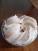 bird nest 