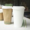 Eco Paper Cup Biodegra...