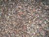 Mix PVC Cable Regrind, Regrinded Plastic Cable Coating â granulate, Polyvinyl chloride