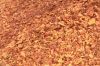 Bauxite Ore