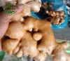 Ginger dried Premium Q...