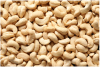 CASHEW 