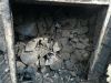 Hardwood charcoal, fir...