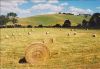 Oaten Hay