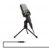 Rechargeable Stand Condenser Microphone - CM01