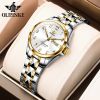 Oupinke 3175 Fashion Skeleton Sapphire Diamonds Crystal Luxury Brand  Women Mechanical Watch Elegant Ladies Watch