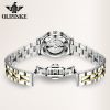 Oupinke 3169 Men  Watch Luxury Men Wrist Brand  Formal Dress All Stainless Steel Simple Men&#039;s Mechanical Watch