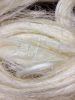 Sisal Fiber