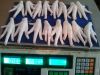 FROZEN CHICKEN FEET GRADE-A