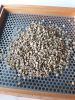 Robusta Coffee Beans S...
