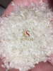 Camolino/Medium rice cheap price best quality origin Vietnam from direct manufacture