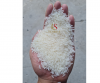 ST25 Rice Perfumed Rice from the Top Exporter in Vietnam