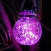 Solar night light garden light