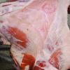 Sheep Meat High Quality Frozen Mutton Kazakhstan Wholesale Organic Natural Frozen Mutton Meat