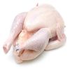 High Quality Healthy and Natural Frozen IQF Whole Chicken Halal Frozen Whole Chicken from Brazil