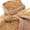 Cheap Wheat Grain/ Soft Milling Wheat Grain from Ukraine, Wheat Grains for Human&amp; Animal Consumption