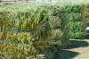 Wholesale Alfafa Hay Animal Feeding Stuff Alfalfa, hay/alfalfa hay pellets Timothy Hay/ Alfafa in Bales