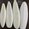 DRIED CUTTLEFISH BONE WITH REASONABLE PRICE AND GOOD QUALITY