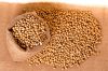 NON-GMO Soybean Available for Cheap Price Dried Yellow Soybean