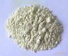 rice protein concentrate