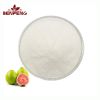 ISO Factory Supply Guava Fruit Extract Pure Natural 99% Guava Fruit Juice Powder