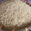 supply cheap price vacuum Packed Red White Sorghum Rice packing in bags sweet  australia sorghum sorghum non gmo
