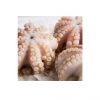 Fresh And Frozen Seafood Octopus Octopus Frozen Octopus For Sale