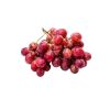 mature red globe fresh grapes premium style storage food organic package 248g/336g/680g/880g/1680g Glass Jars seedless grapes