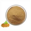 ISO Wholesale Fenugreek Seed Saponins Pure Natural Fenugreek Seeds Extract Powder