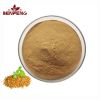 ISO Wholesale Fenugreek Seed Saponins Pure Natural Fenugreek Seeds Extract Powder