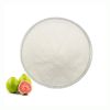 ISO Factory Supply Guava Fruit Extract Pure Natural 99% Guava Fruit Juice Powder