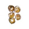 mushroom shiitake high quality dried shitake is organic truffle dried shiitake mushroom dried oyster mushroom