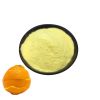 Manufacturer Supply Orange Peel Extract 94% Methyl Hesperidin 11013-97-1