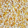 bulk IQF frozen sweet corn yellow corn kernels top style storage packing mature dried pop corn maize wholesale popcorn kernel