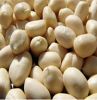 wholesale 100% natural raw shelled peeled peanuts bulk best quality rich in protein rich organic protein kernel raw