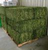 High Quality Alfalfa Hay Oats Hay Animal Feed for Sale Animal Feed
