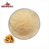 Free Sample Papaya Extract Powder High Quality Water Soluble Papaya Powder