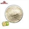 Hydroxycitric Acid Weight Loss Garcinia Cambogia Fruit Extract HCA 50% HPLC