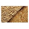 Cheap Price 46% Protein Soybean Meal - Soya bean meal for animal feed