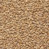 Wheat Grain,Soft ,Milling Wheat, Durum Wheat