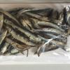 dried anchovy fish  quality wholesale salted dry frozen anchovies fish fishing packaged anchovy