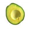 organic fresh avocados AND FUERTE Hass Avocados  hass and fuerte bulk suppliers best quality hass Avocados