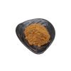 High Quality Chaga Extract Herbal Supplement 10:1 Chaga Mushroom Extract Powder