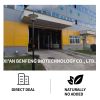 good quality raw import ginger production dried for sale packing in bags dried ginger  dry dried ginger slices