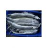 Frozen Seafood Supplier of Size 500-700g IWP Frozen Ribbon Fish