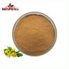 ISO Chelidonium Extract Powder High Quality Celandine Extract Bulk Chelidonium Majus Extract
