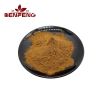 Schisandra Chinensis Extract Powder 10:1 High-Quality Schisandra Organic Extract Powder