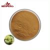 ISO Certification Semen Cuscutae Dodder Seed Extract Pure Natural 10:1 Cuscuta Seed Extract