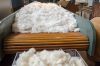 OEM Customized Raw Cotton Fiber Yarn 100% Organic Raw Cotton / Pillow Filling Cotton Available At Lowest Price